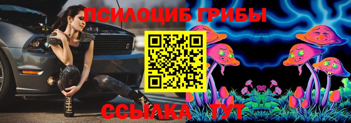 Тихвин  Галлюциногенные грибы прущие грибы  Вход с VPN  Псилоцибиновые грибы мухоморы 